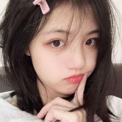 追鹰日记